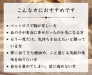 ペット鑑定｜大切なあの子の気持ちを霊視します 虹の橋を渡った愛する家族からのメッセージをお届けします イメージ2