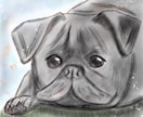 写真をもとに温かみのあるペットイラスト制作します 「写真では残せない温かさをイラストで。」 イメージ1