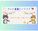 あなたの大切な子に癒しのヒーリングを届けます 地域猫を見守るヒーラーが心を込めてお届けします イメージ3