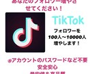 TikTokのフォロワー増やします コスパＮｏ．1TikTokのフォロワーを増えるまで運用します イメージ1