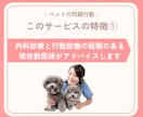 行動専門獣医師が犬猫オンラインしつけ相談します 顔出しなしOK│犬猫のしつけから問題行動まで相談できます イメージ3