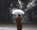 プロフィール写真を撮影します あなたの欲しい写真を撮影します！ イメージ1