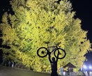 日本縦断、台湾自転車旅をコーディネートします また台湾一周、装備品、道路事情アドバイス可能です！ イメージ4