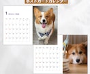 OPEN価格★うちのコが主役♪各種カード作成します ペットも自己紹介する時代！広がる繋がる笑顔になる♪ イメージ6