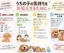 大切なあの子の気持ちを心で感じお伝えします あの子への質問、あの子に伝えたいことを代わりに届けます♡ イメージ2