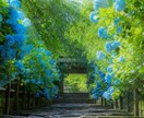 初回｜離れたあの人と繋がる為の道筋を紐解きます 喪失を越えた私だからこそ、あなたの切実な願いに応えます。 イメージ8
