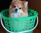 皆様方の為に体様させていただきますます 私も一人の人間ですのでご理解のほど宜しくお願いいたします。 イメージ3