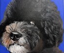 お友達へのプレゼントにも喜ばれます 絵で感動する未来をお約束致します！ イメージ4