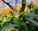 Instagramの投稿をお手伝いします 投稿したいけど何を投稿したら良いの？そんなお悩み解決します！ イメージ1