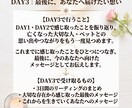 亡くなった方・ペットへの想いを3日間聴きます 誰にも言えない想いを、ここでは我慢せず話してください イメージ4