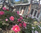 今の思いをお聞きします 「誰かに話すだけで、心って少し軽くなる」 イメージ4