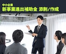 中小企業新事業進出補助金、計画書の添削・作成します 再構築補助金でも実績多数｜補助金サポート歴10年の経験 イメージ1