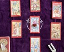 限定５！オッドアイのスフィンクスがモヤを晴らします 神秘的なオッドアイの猫によるタロット占い イメージ3
