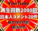 YouTube再生回数＆日本人コメントを増やします 再生回数+2000回＆日本人コメント+20件➡2,000円✨ イメージ7