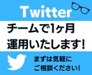 Twitterプロチームで運営代行します お忙しい方のお役立ち！個人・法人、両方対応しております。 イメージ1