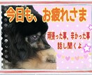 頑張るあなたのお話し聞きます 今日もお疲れさま！頑張った事、辛かった事話してね。 イメージ1