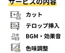 ショート動画を編集します TikTok、YouTube、Instagram イメージ2