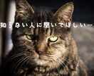どなたでも大丈夫。愚痴聞き・話し相手になります 秘密厳守・安心の主婦まいりーにお話しをお聴かせください イメージ4