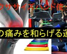 セラバンドで行える膝痛予防トレーニング教えます テニスボール１個で行える股関節を柔らかくする動画もプレゼント イメージ1