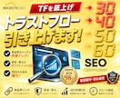 トラストフロー「TF」値を30以上に引き上げます TF60以上も可能！Google上位表示の近道に！ イメージ1