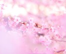 お仕事・転職・副業・人間関係のお悩みを和らげます 明るい未来へ⭐️ストレス軽減、自己実現のためのリーディング＊ イメージ3