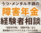 障害年金相談  メンタル系なんでも相談乗りますます 研修講師などの経験を活かして優しくアドバイスします イメージ1