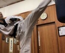 お子様から大人まで立ち技最強・最速の蹴りを教えます 元テコンドーバンタム級日本代表選手が本物の蹴りを教えます。 イメージ1