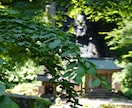 あなたを守る存在について霊視タロットで教えます 守りの存在を知り、さらに繋がりを深め幸せへ導きます☆ イメージ2