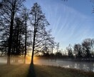 スウェーデン在住10年リアルな移住アドバイスします 家族での移住経験を活かしたすべてに関する相談が可能です！ イメージ4