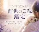 霊視でペットとの前世から続く魂のご縁を読み解きます 魂が結んだご縁と今世で巡り会った意味心を込めてお伝えします。 イメージ1