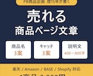 元PB商品企画担当がEC商品ページの文章を書きます 楽天/Amazon/BASE/Shopify対応 イメージ1