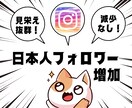 インスタの日本人フォロワー+100人増やします 最高品質&格安！Instagram日本人フォロワー増加 イメージ1