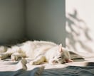 予約制☀️モーニングコールで起きるお手伝いします 朝が弱い方や中々起きれないときに☀️一緒に起きるをサポート♡ イメージ9