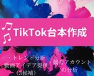 TikTok動画企画＆コンテンツアイデア提供します バズる動画企画を作成or分析！ イメージ1