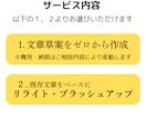 元販促企画者が訴求力が高いセールスコピーを書きます メルマガからECサイトの商品PR文まで幅広くご対応します イメージ6