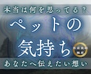 ペットの本当の気持ちを霊視します ペットの本音と今の感情｜あなたに伝えたい気持ちを霊視します イメージ1