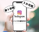 現役のプロが３か月間インスタ運用代行します 週５投稿！投稿枚数多くても追加料金なし！ イメージ1