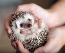 ペットのお話聞きます 皆さまのペット自慢聞かせてください♪ イメージ7