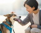 愛犬の困った行動のご相談承ります 吠える・落ち着かないなど、愛犬の行動でお困りの飼い主様へ イメージ1