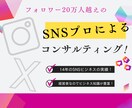 フォロワー20万人越えのSNSのプロが教えます 様々な事業を創った経営者だからこそのコンサルティングが可能！ イメージ1