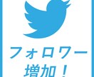 Twitterのフォロワーを1000人増加します 高品質フォロワーを1000人増やします！ イメージ1