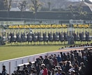 JRA競馬の毎週レース予想します 年間通してプラス収支にしたい方、競馬初心者の方向けです！ イメージ3