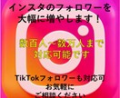インスタフォロワーを10,000人増やします インスタグラムの1週間程度宣伝・運営で+1万人増やします。 イメージ1