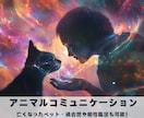 アニマルコミュニケーション｜魂と対話します 亡くなった子も可能。過去世や相性、エネルギー解析もできます イメージ1