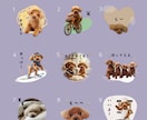 限定モニター価格☆ペット写真スタンプ 作成します 先着残り2名様限定！修正無制限＆満足度◎面倒な丸投げOK！ イメージ6