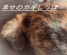 基本的性格を占った方、限定！　お悩みお聞きします 一番話したい事を一つだけ聞かせて下さい(*´ω｀) イメージ1