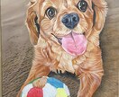 あなたの大切なペットの肖像画を油絵で描きます 油絵の醍醐味を身近に楽しんでいただける様リーズナブルに設定 イメージ9