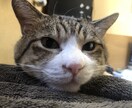 愚痴や話し相手になります 愚痴や相談なんでも受け付けます イメージ1