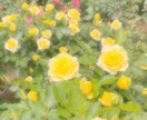 おひとつ１０００円♡アチューンメントいたします ご縁のある方へ♡複数の方はオプションから イメージ1