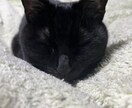 日頃の愚痴を聞きます お仕事、ご家庭での愚痴を聞きます心の整理にご活用下さい イメージ1